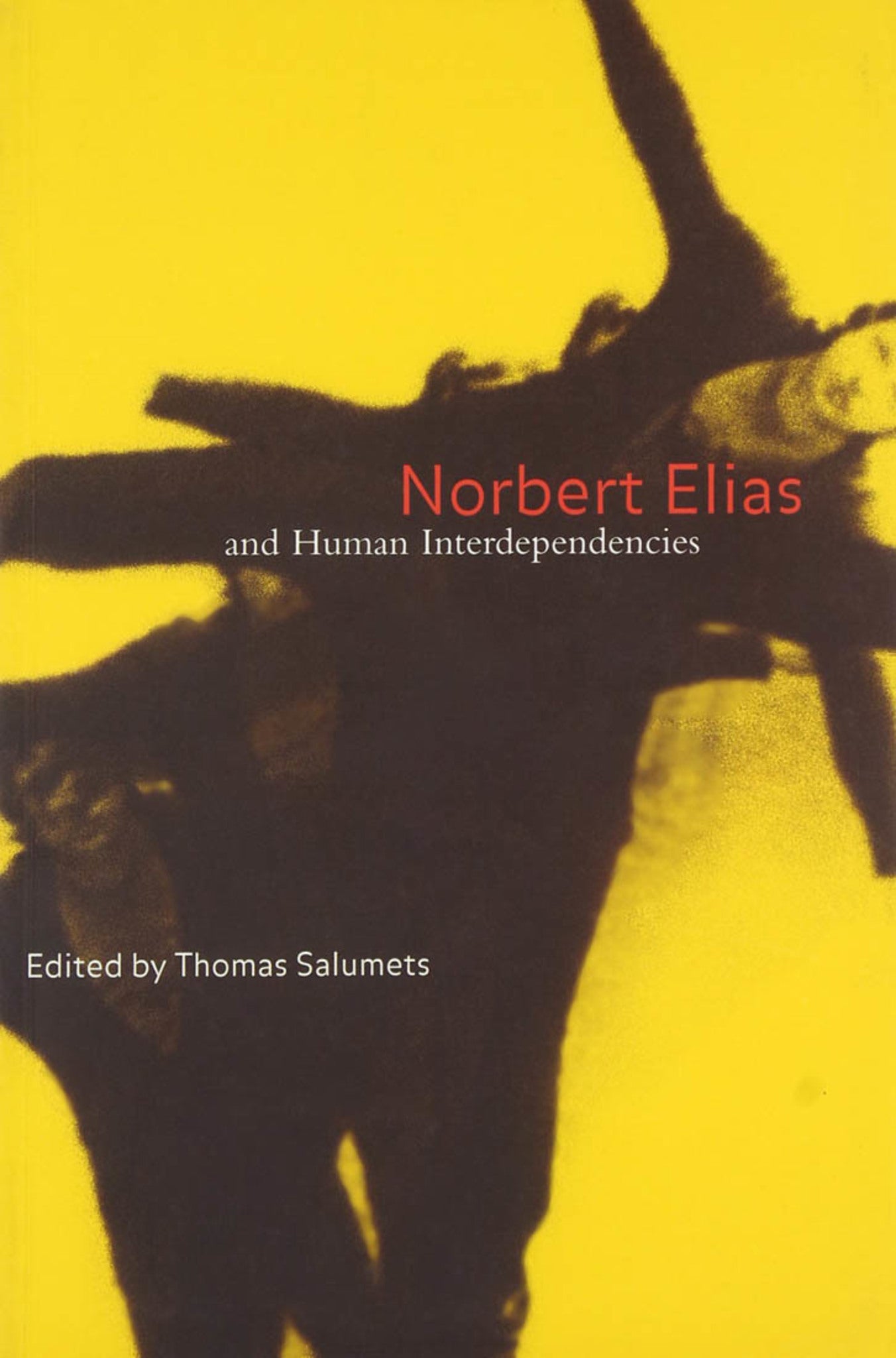 Cover image for Norbert Elias and Human Interdependencies ISBN 9780773569287